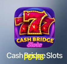 pgspg,pgspg plataforma